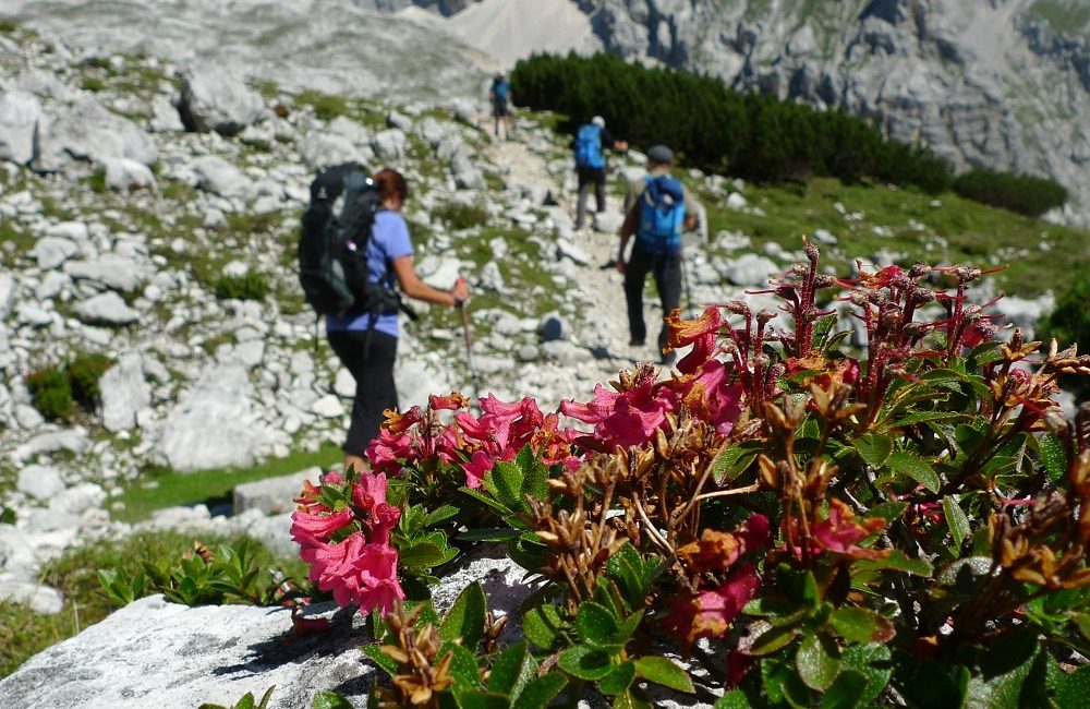 Alpenüberquerung Garmisch Meran Alpinschule Garmisch